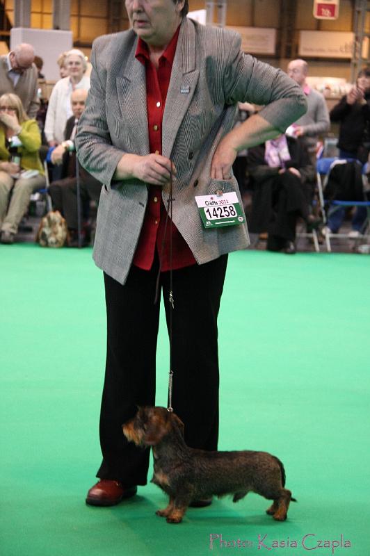 Crufts2011_2 522.jpg